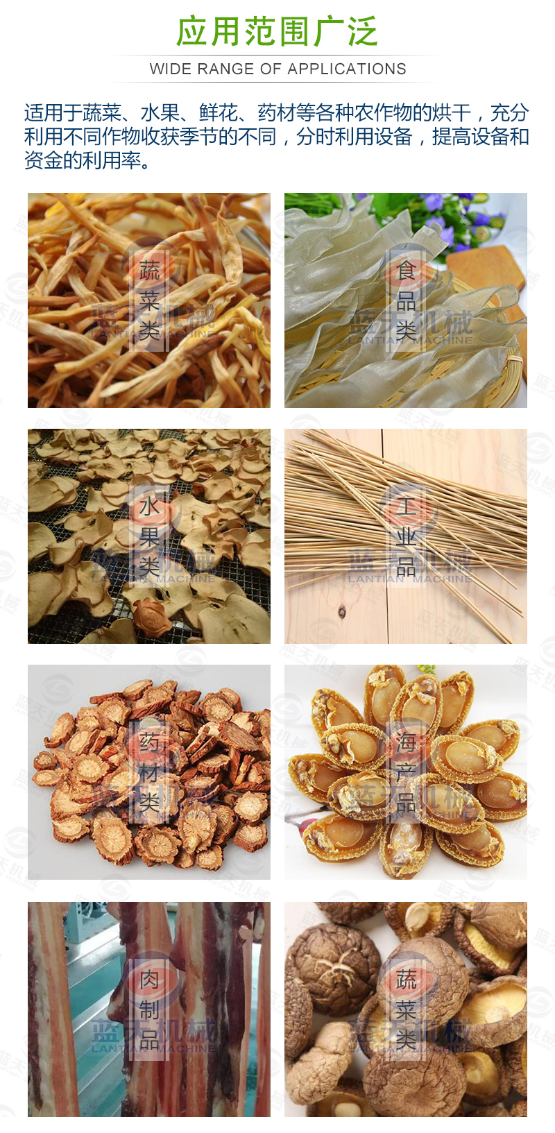 黃花菜網(wǎng)帶烘干機(jī)應(yīng)用范圍