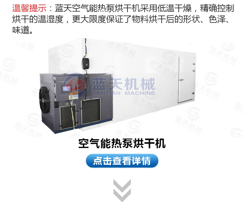生姜片網帶烘干機相關產品