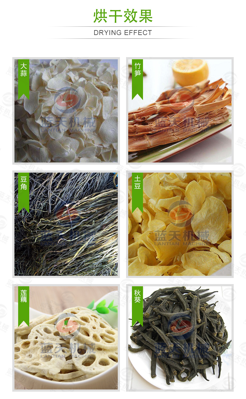  大蒜片網(wǎng)帶烘干機(jī)烘干效果