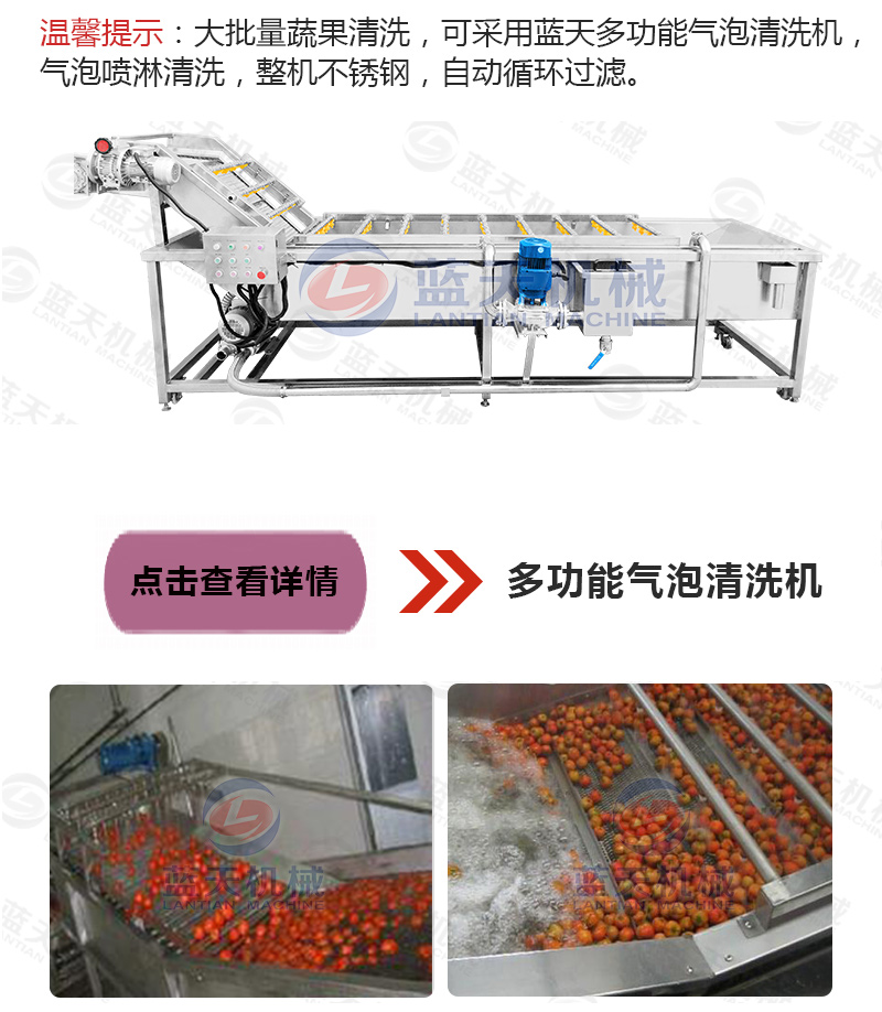 水果片網帶烘干機相關產品