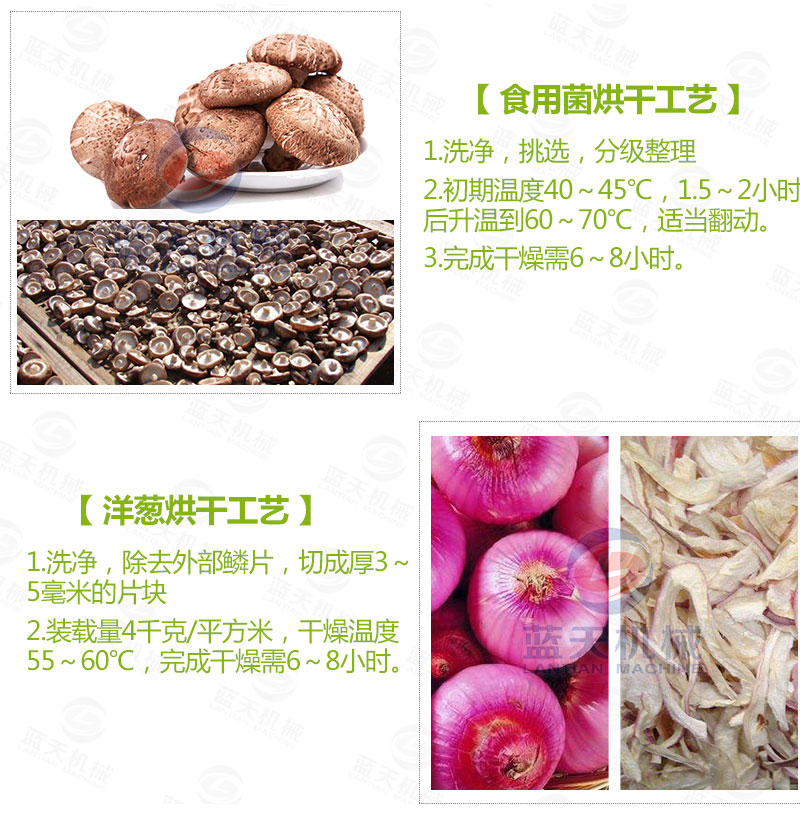 花生網(wǎng)帶式烘干機(jī)常見蔬菜烘干工藝