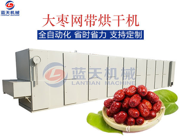 大棗網(wǎng)帶烘干機