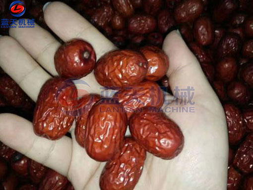 大棗網(wǎng)帶烘干機烘干工藝